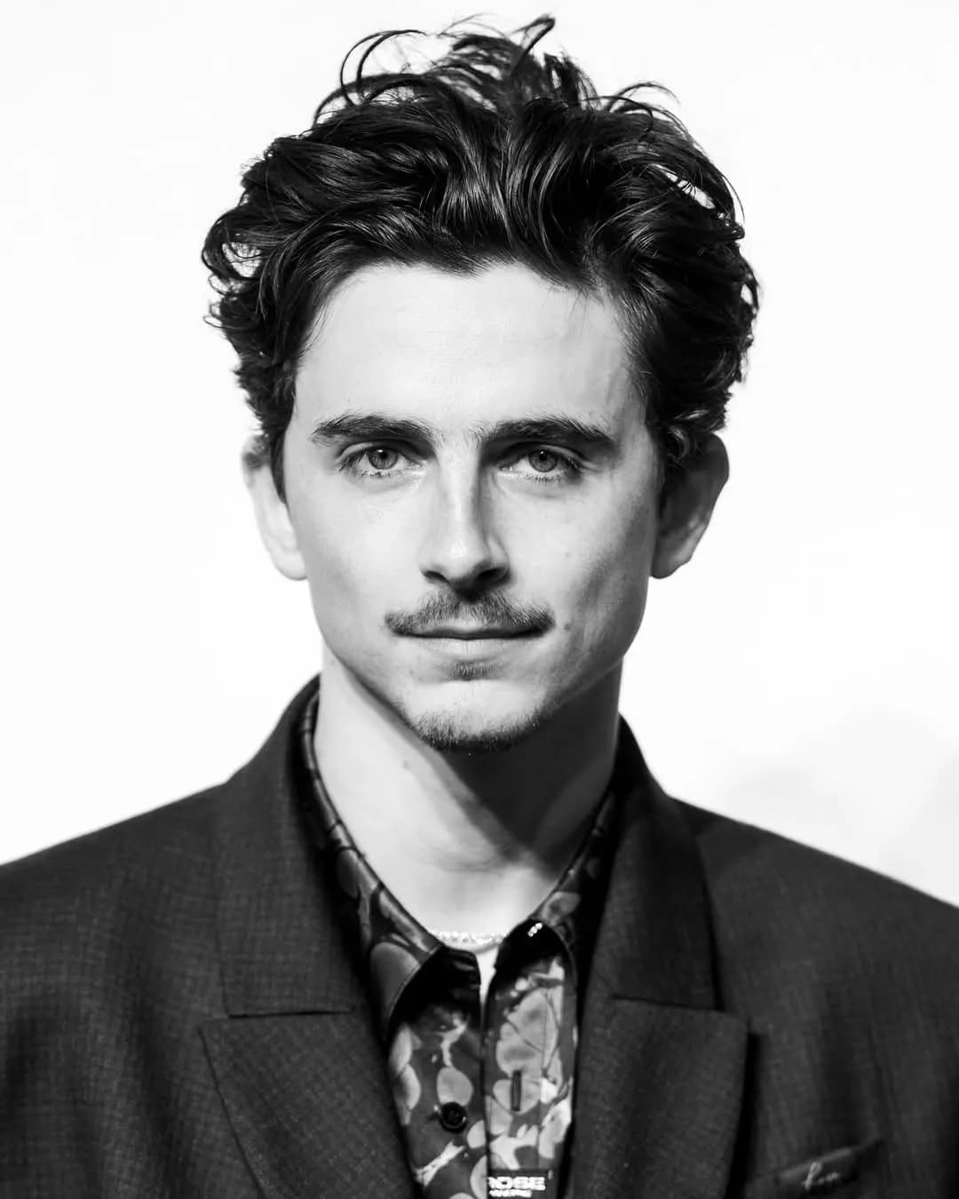 티모시 샬라메 프로필